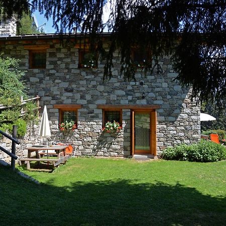 Agriturismo Valsaviore Cevo Dış mekan fotoğraf
