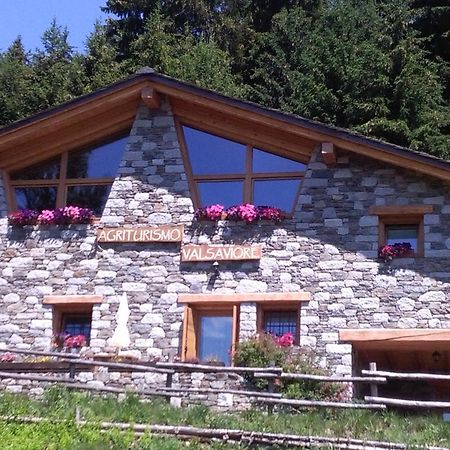 Agriturismo Valsaviore Cevo Dış mekan fotoğraf