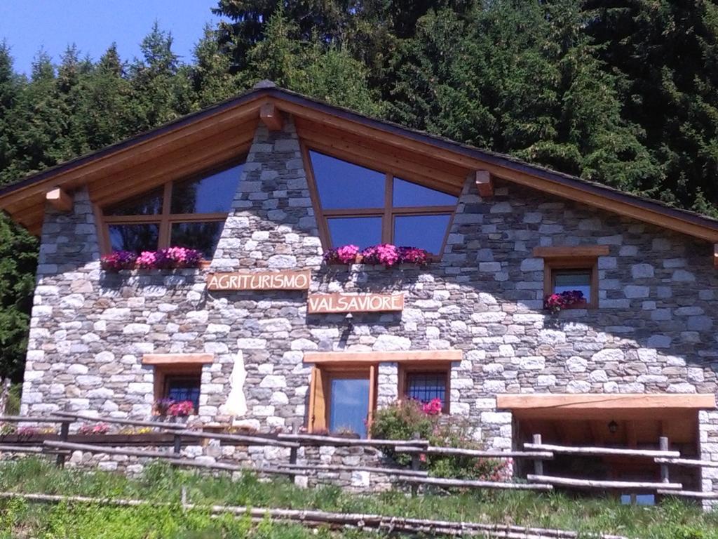 Agriturismo Valsaviore Cevo Dış mekan fotoğraf
