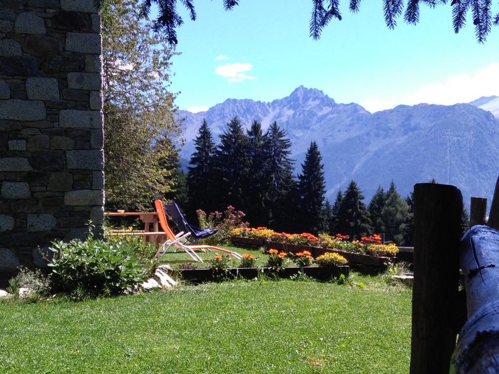 Agriturismo Valsaviore Cevo Dış mekan fotoğraf