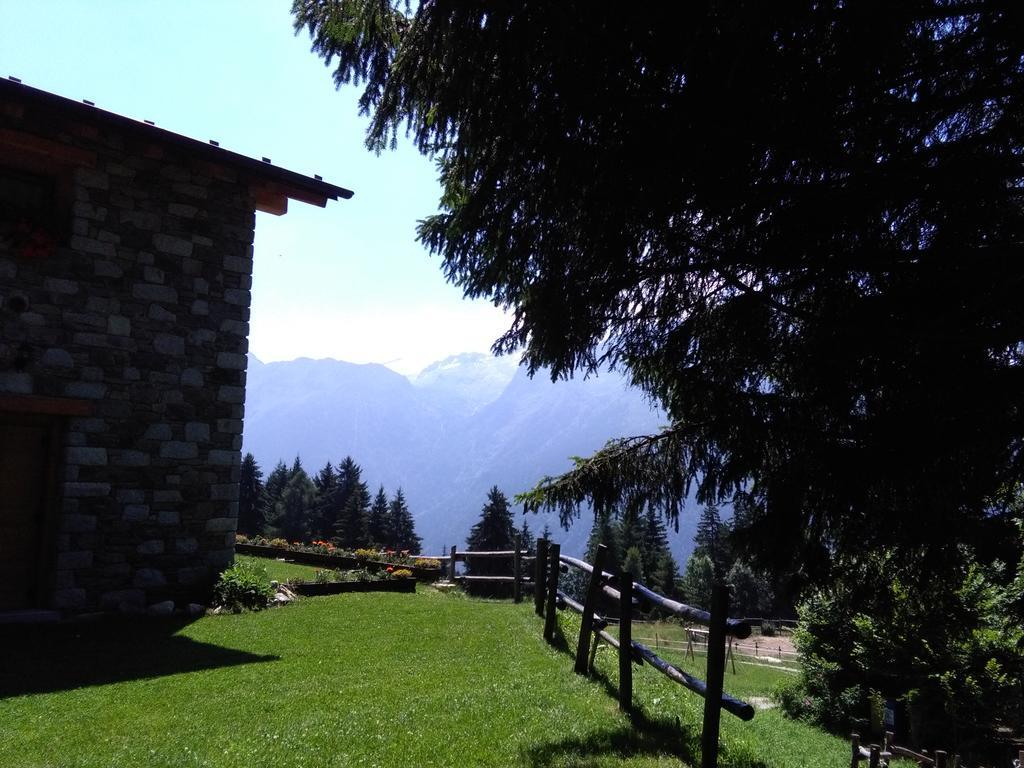 Agriturismo Valsaviore Cevo Dış mekan fotoğraf