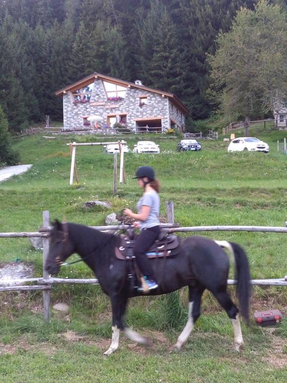 Agriturismo Valsaviore Cevo Dış mekan fotoğraf