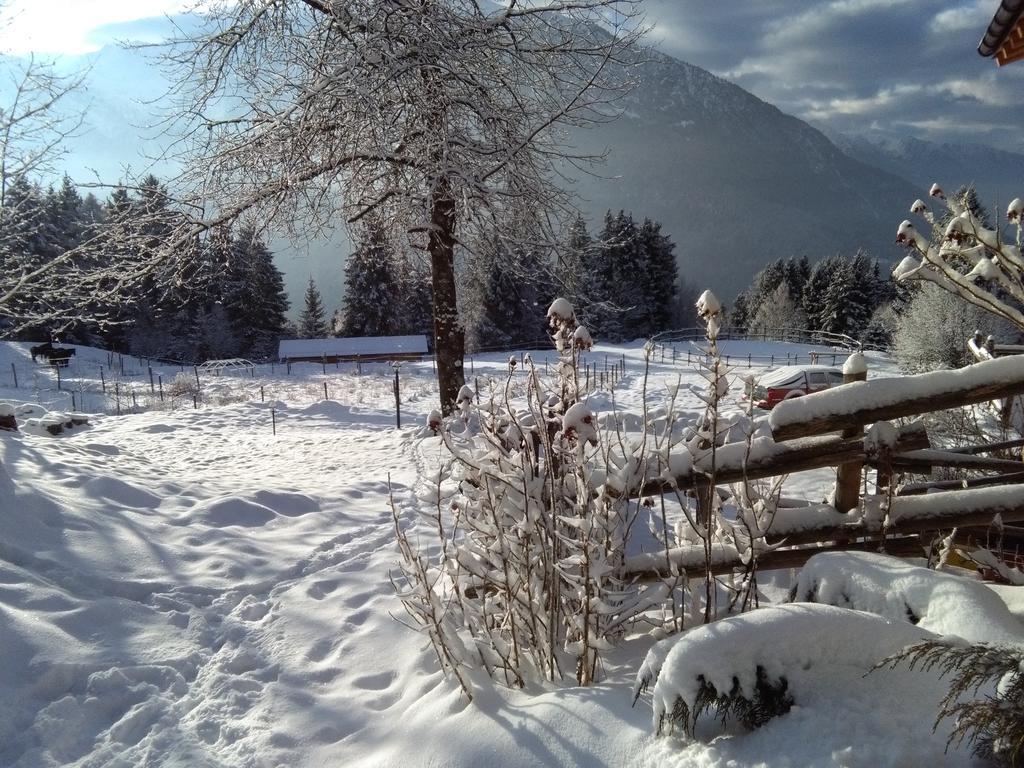 Agriturismo Valsaviore Cevo Dış mekan fotoğraf