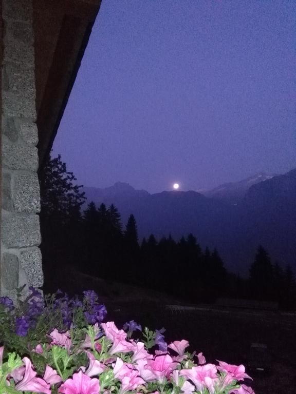 Agriturismo Valsaviore Cevo Dış mekan fotoğraf