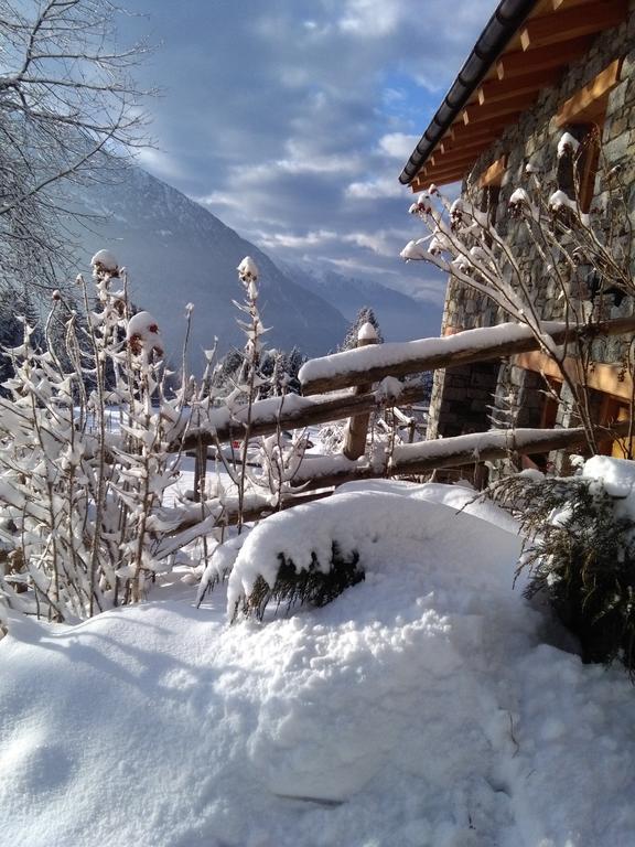 Agriturismo Valsaviore Cevo Dış mekan fotoğraf