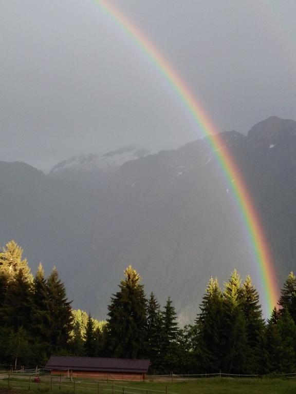 Agriturismo Valsaviore Cevo Dış mekan fotoğraf